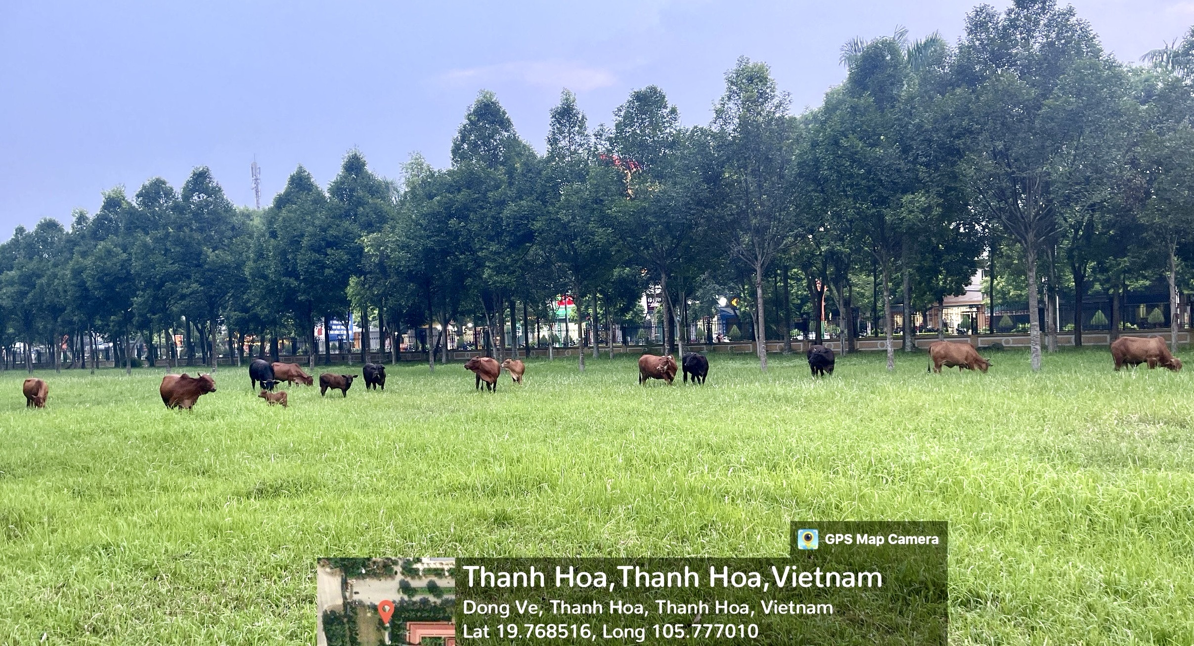 BỘ MÔN KHOA HỌC VẬT NUÔI