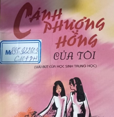 Cánh phượng hồng của tôi