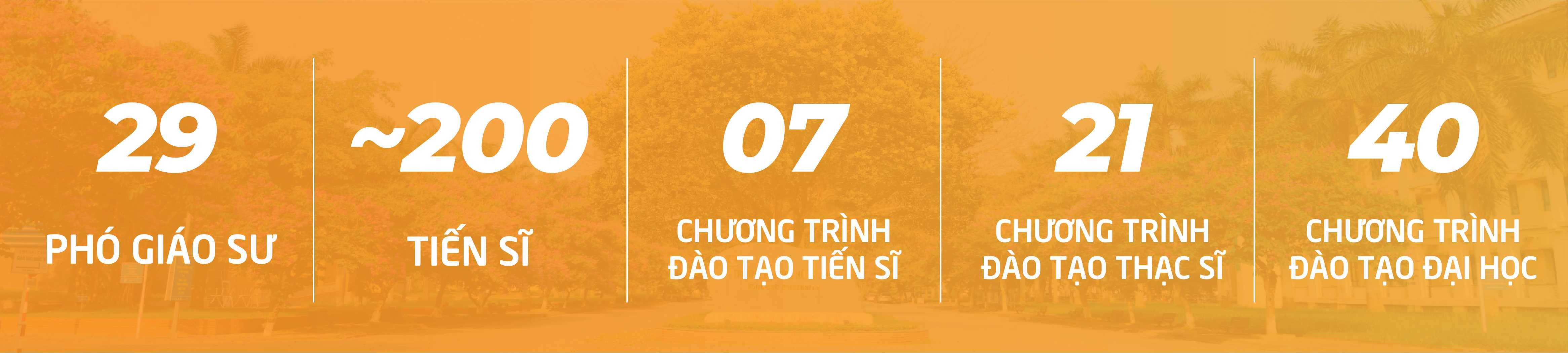 Thông tin