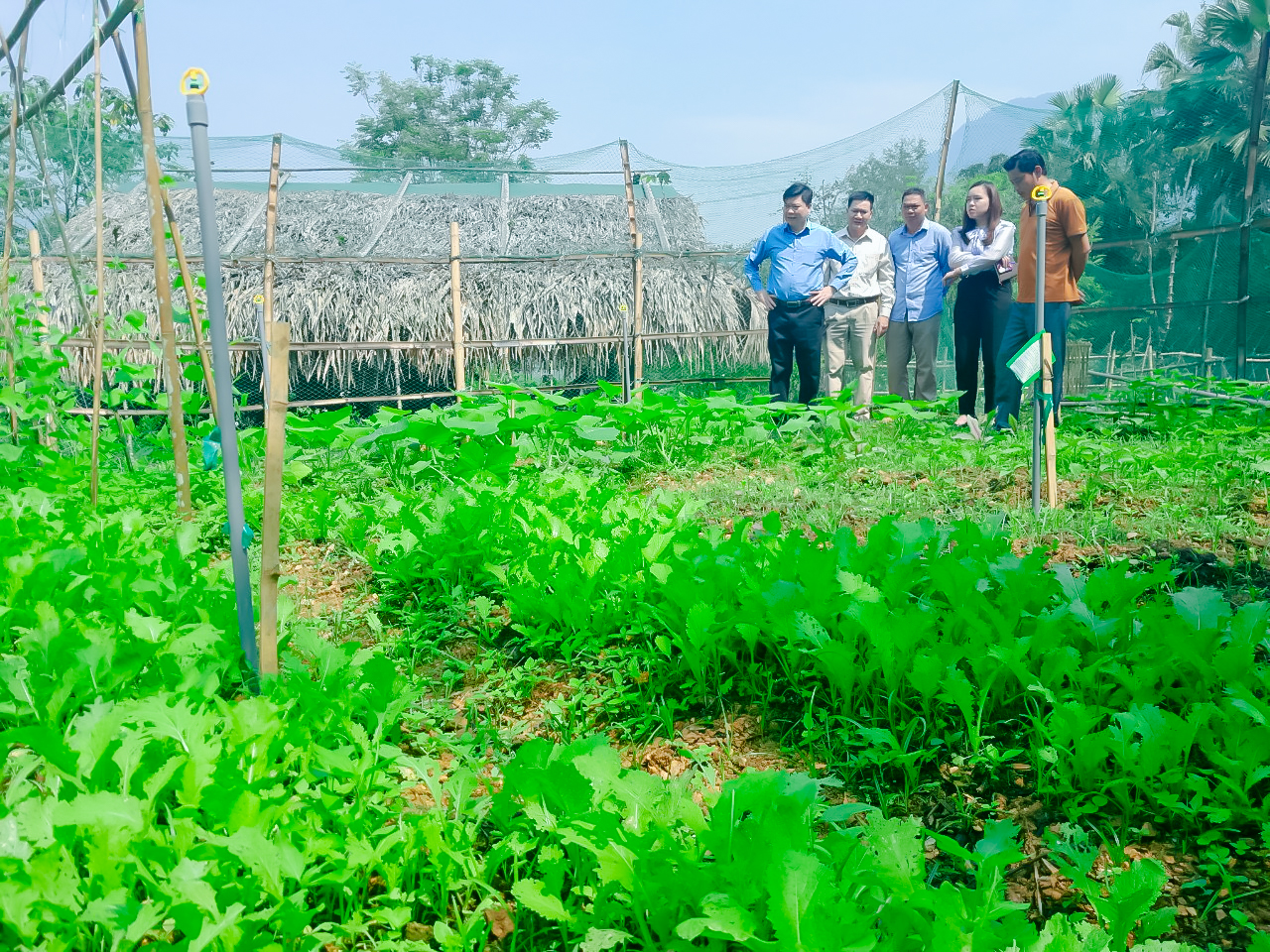 Trường Đại học Hồng Đức hỗ trợ cư dân vùng biên giới tỉnh Thanh Hóa phát triển sinh kế qua mô hình: Vườn rau hữu cơ sử dụng phân ủ từ chế phẩm sinh học tự làm phù hợp với địa hình vùng cao